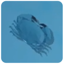 Brown Crab — How to Fish creature icon