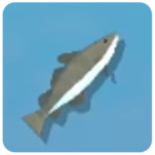 Cod — How to Fish creature icon