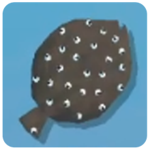 Halibut — How to Fish creature icon